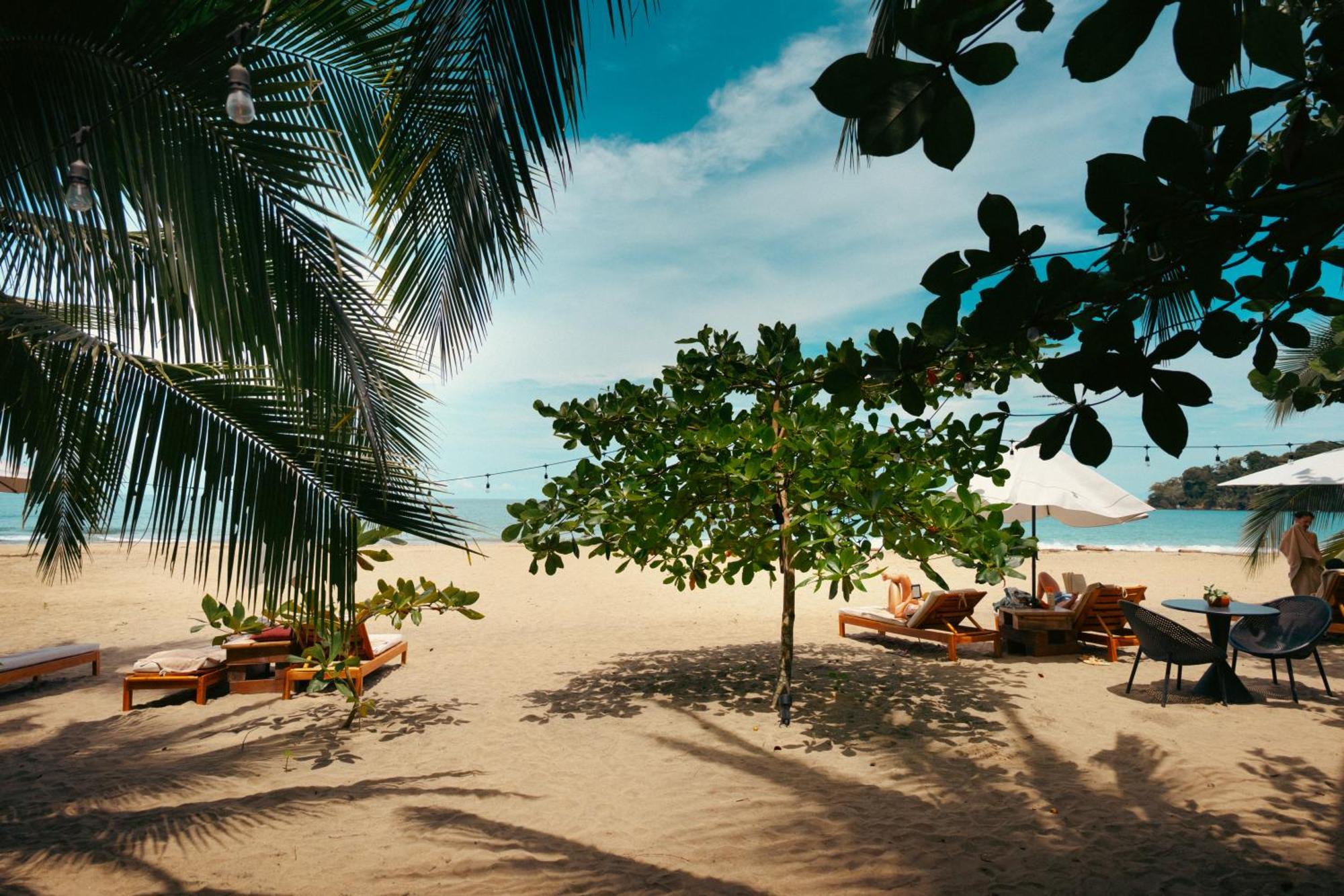 Awa Beach Hotel Puerto Viejo de Talamanca Kültér fotó