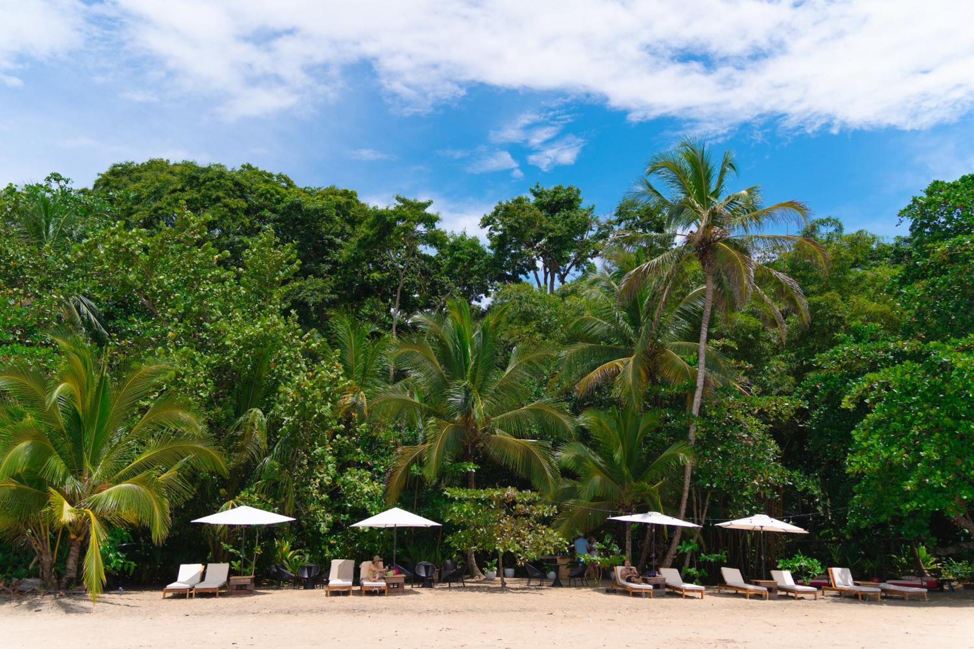Awa Beach Hotel Puerto Viejo de Talamanca Kültér fotó