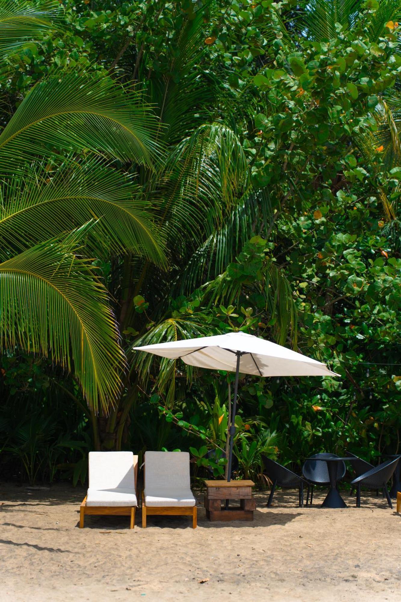 Awa Beach Hotel Puerto Viejo de Talamanca Kültér fotó